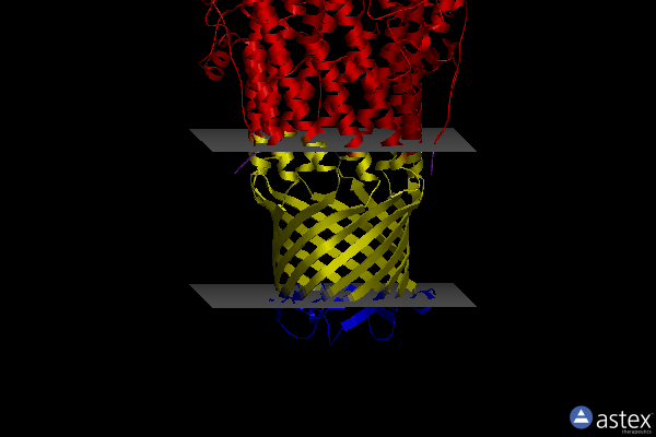 Membrane view of 4mt4