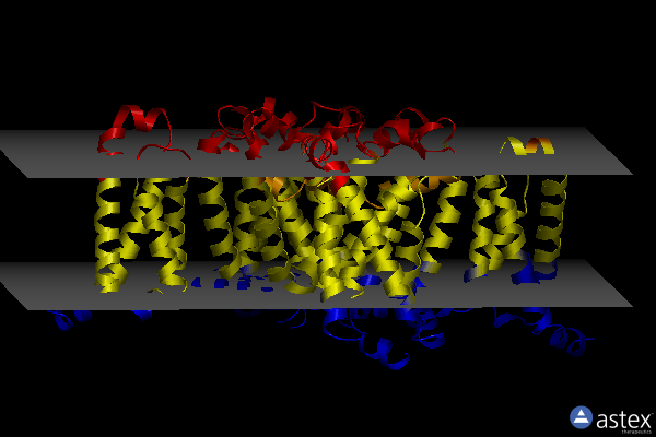 Membrane view of 4mvu