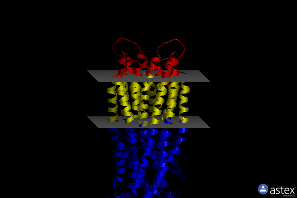 Membrane view of 4myh