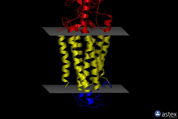Membrane view of 4n4w