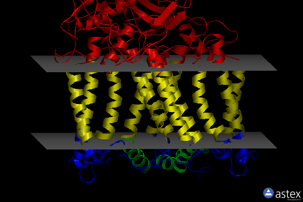 Membrane view of 4n7l