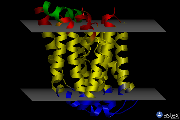 Membrane view of 4n7x