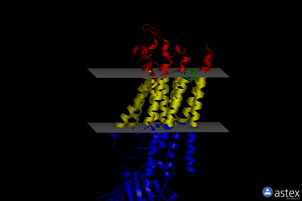 Membrane view of 4nab