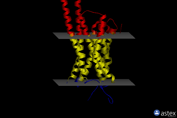 Membrane view of 4nc3