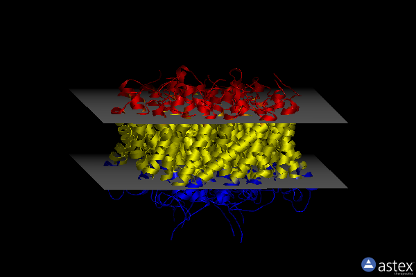 Membrane view of 4nh2