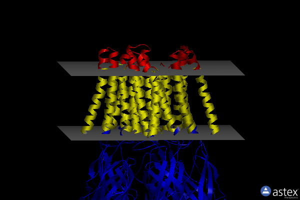 Membrane view of 4npq