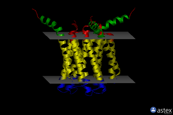 Membrane view of 4ntb