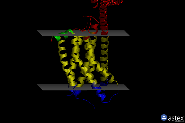 Membrane view of 4ntj