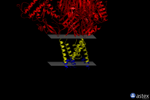 Membrane view of 4ntw