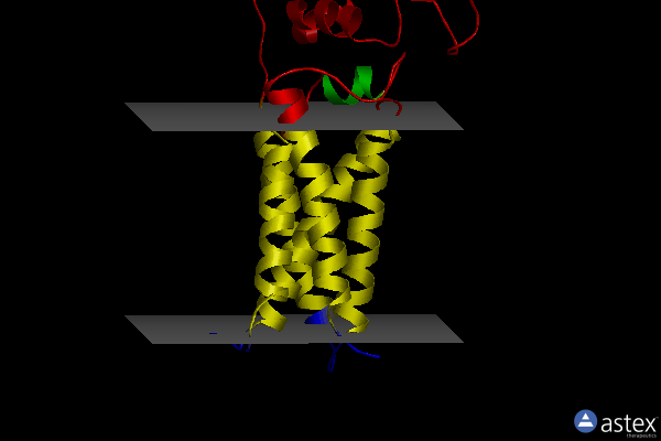Membrane view of 4nv2