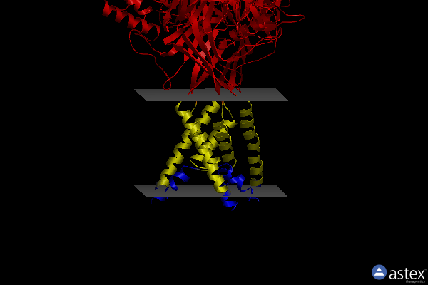 Membrane view of 4nyk