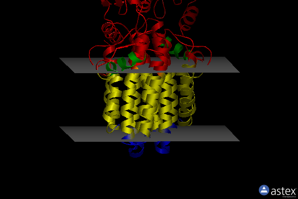 Membrane view of 4o6n