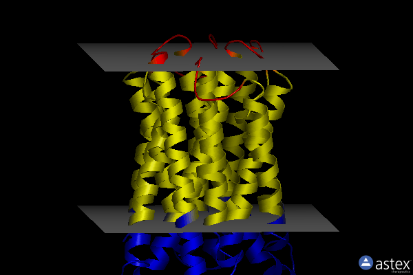 Membrane view of 4o79