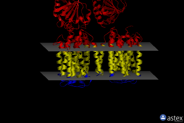 Membrane view of 4o9u