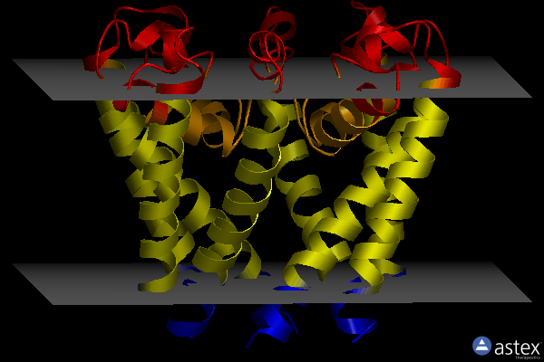 Membrane view of 4oxs