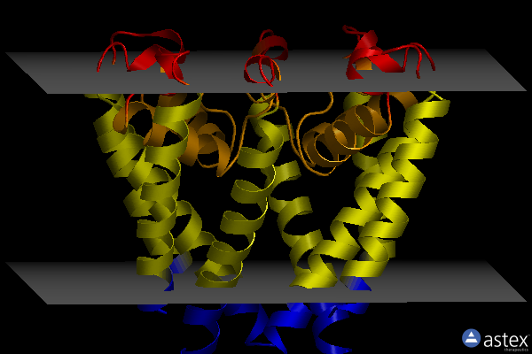 Membrane view of 4p2z
