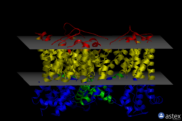 Membrane view of 4p3j