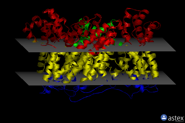 Membrane view of 4p6h