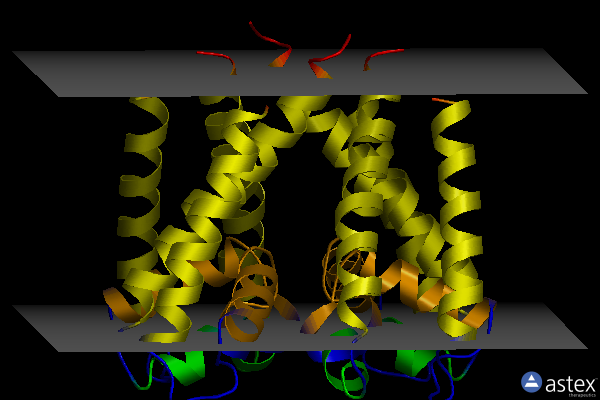 Membrane view of 4pa6