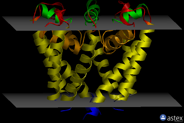 Membrane view of 4pa7