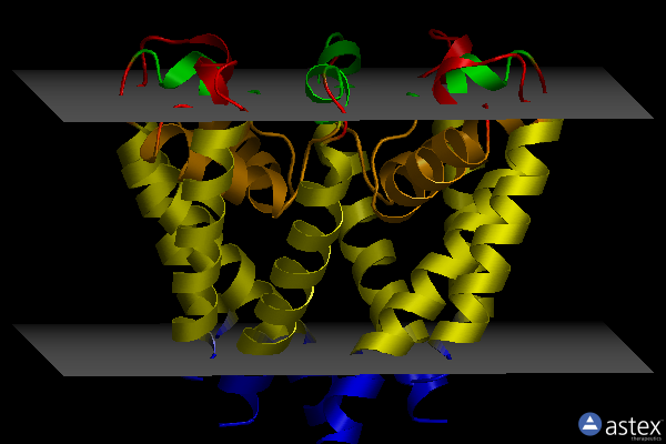Membrane view of 4pa9