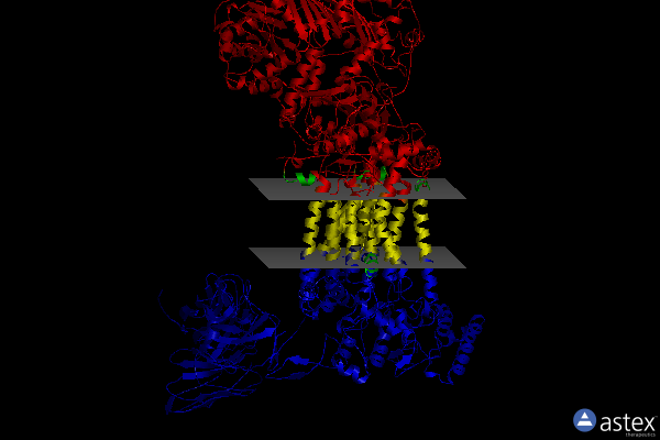 Membrane view of 4pd4
