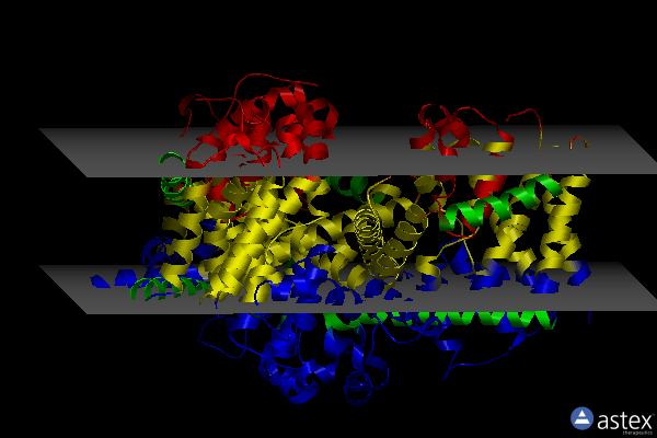 Membrane view of 4pda