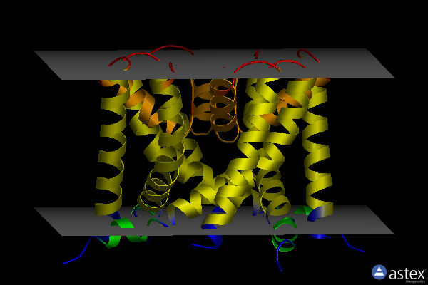 Membrane view of 4pdl