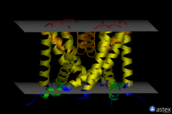 Membrane view of 4pdv