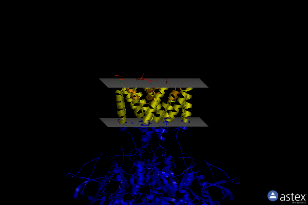 Membrane view of 4pe5