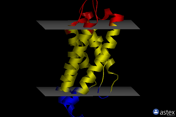 Membrane view of 4pop