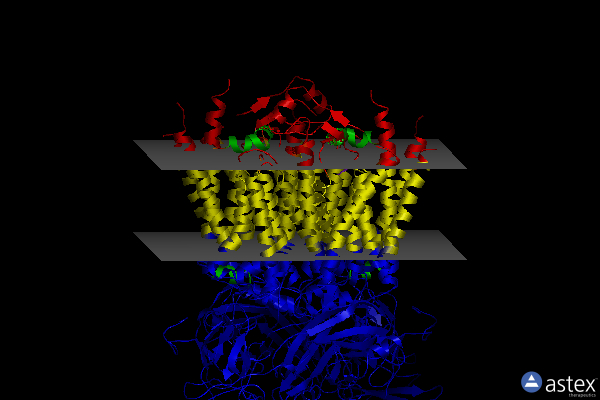 Membrane view of 4pv1