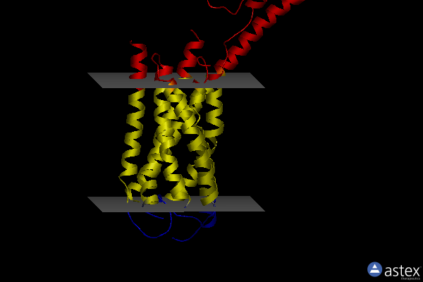 Membrane view of 4py0