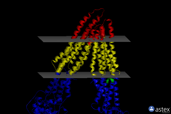 Membrane view of 4q9h