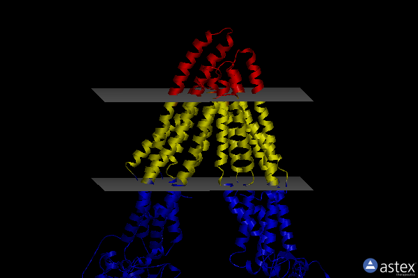 Membrane view of 4q9i