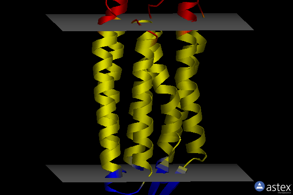 Membrane view of 4qid