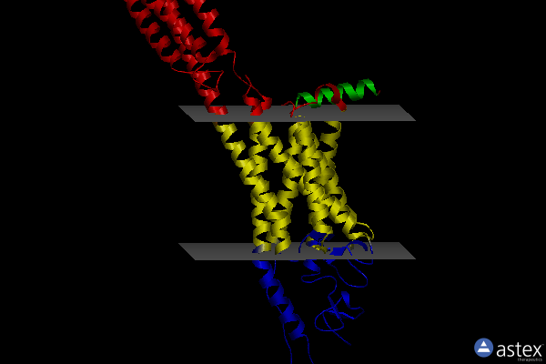 Membrane view of 4qim