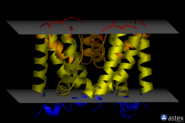 Membrane view of 4r8c
