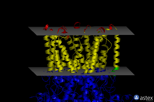 Membrane view of 4rdq