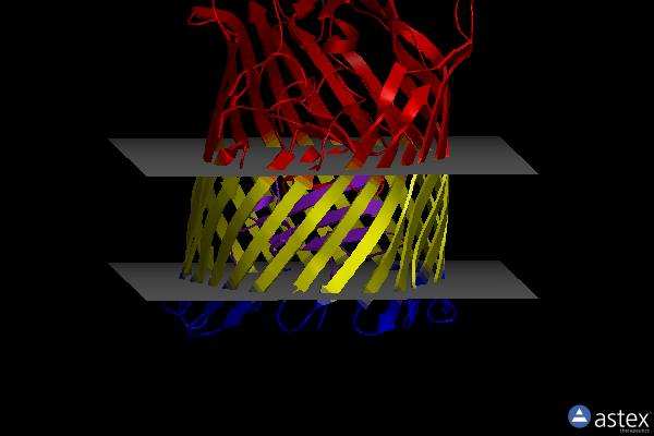 Membrane view of 4rdr