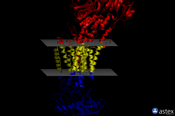 Membrane view of 4ret