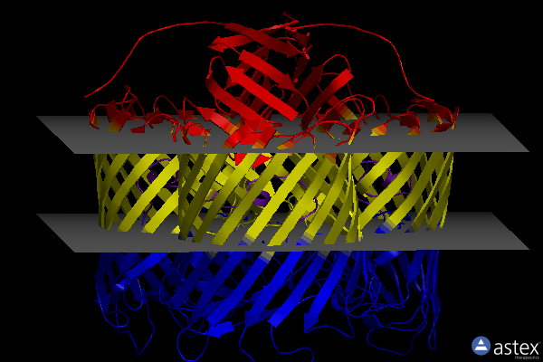 Membrane view of 4rjw