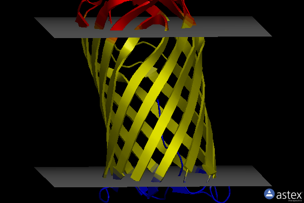 Membrane view of 4rl8