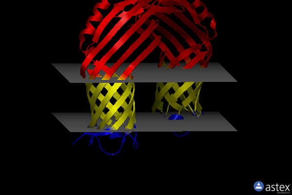 Membrane view of 4rlb