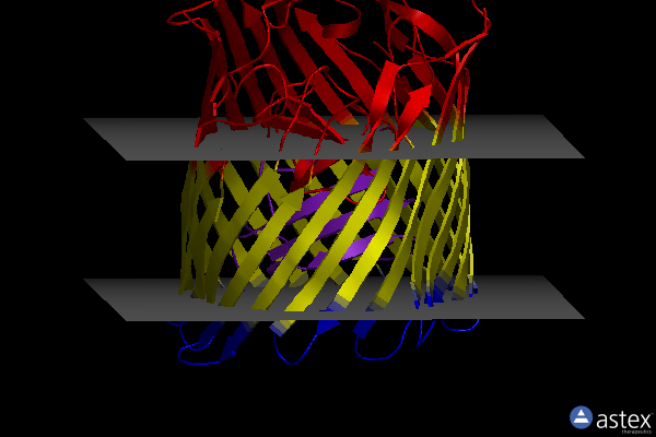 Membrane view of 4rvw