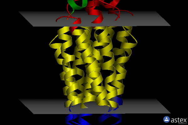 Membrane view of 4ryj