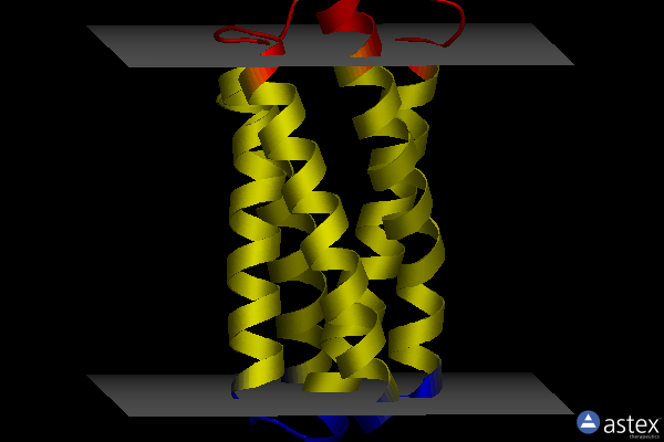 Membrane view of 4ryq