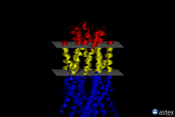 Membrane view of 4s0f
