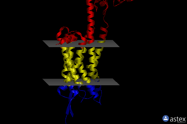 Membrane view of 4s0v