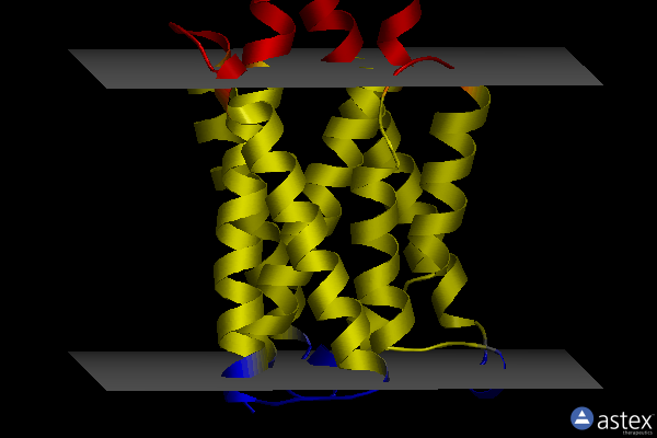 Membrane view of 4tkq